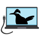 Roadrunner Logo on laptop screen