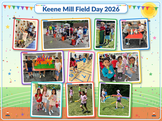 Field Day Collage