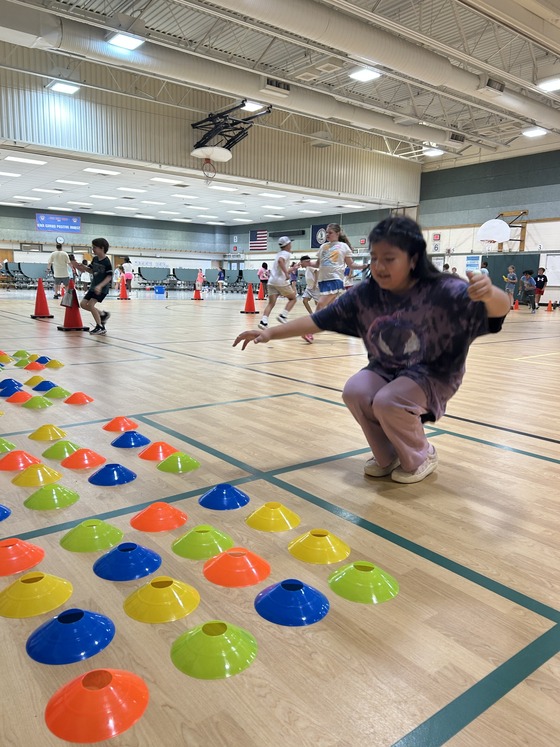 field day