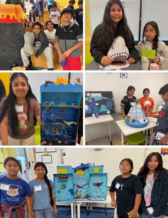 5th Grade Museum