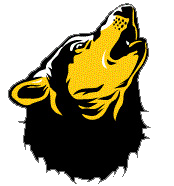 Mountain View High School Wolves