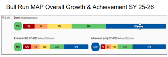 bar graph with percentages