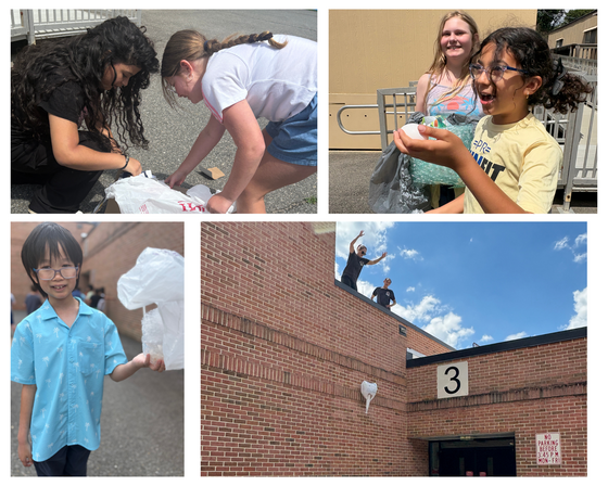 Four-photo collage of fifth-grade students building protective containers and testing them during an outdoor school egg drop STEM activity.