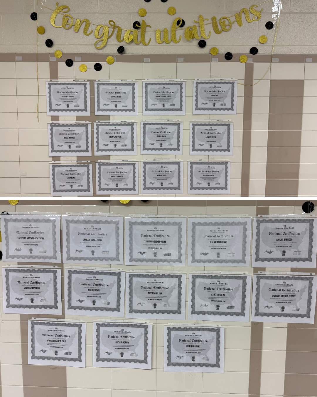 photo of a wall full of certificates