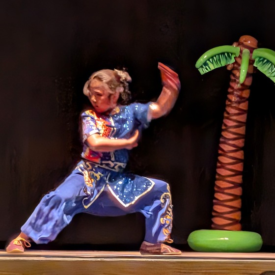 Variety Show