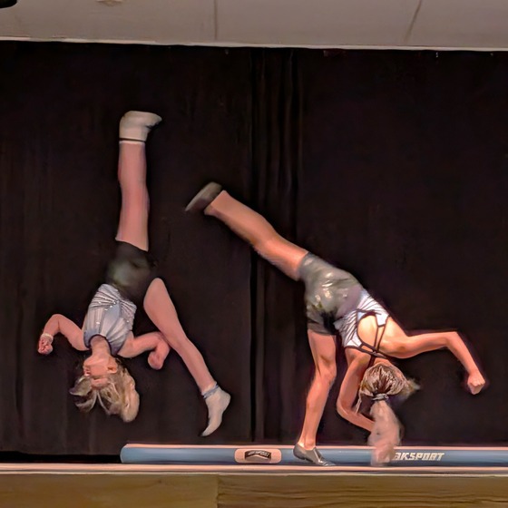 Variety Show