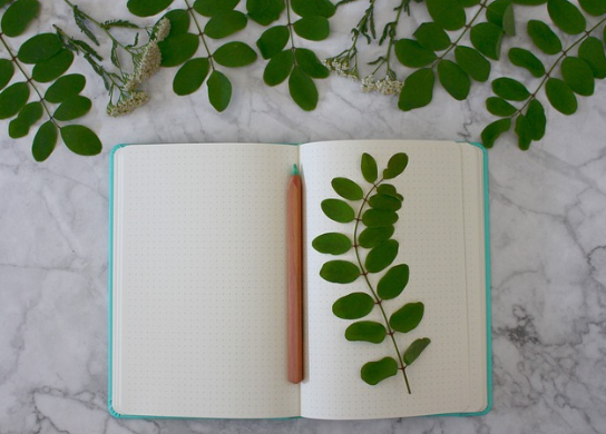 A notebook and green plants