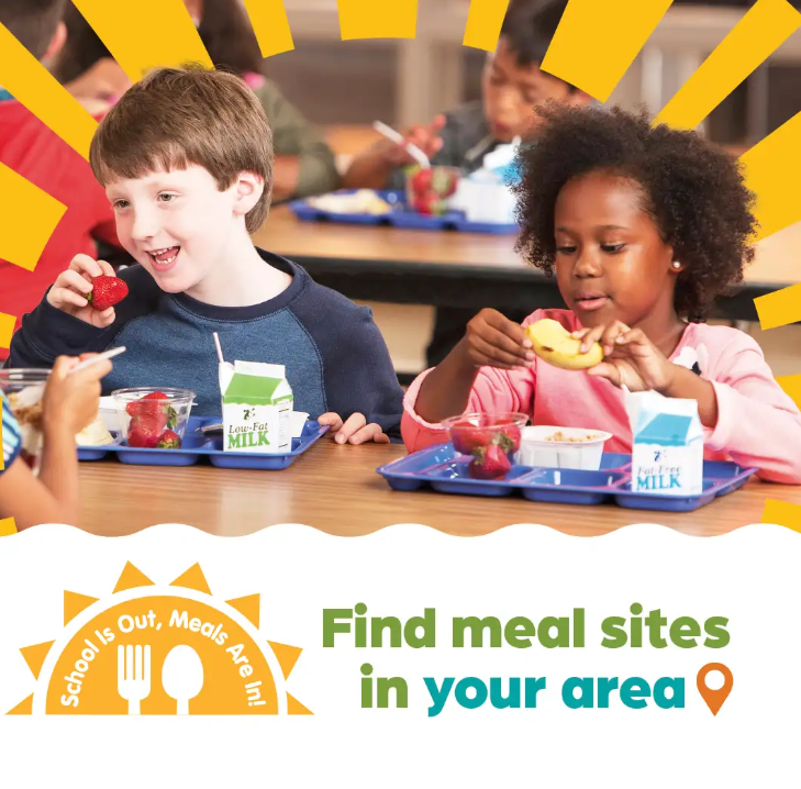 Summer Meals