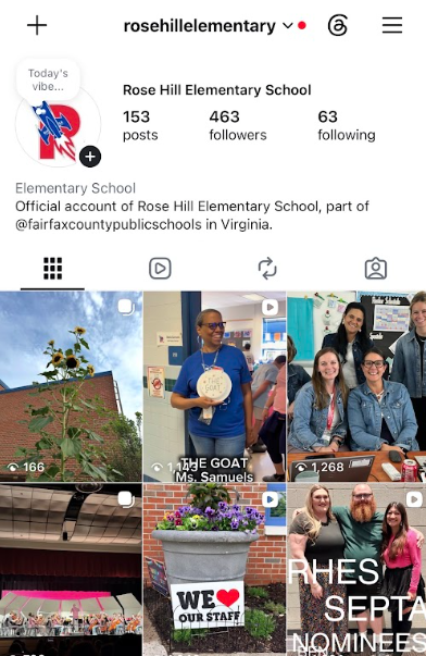 RHES IG
