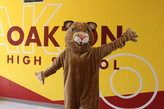 image of cougar in front of gold wall