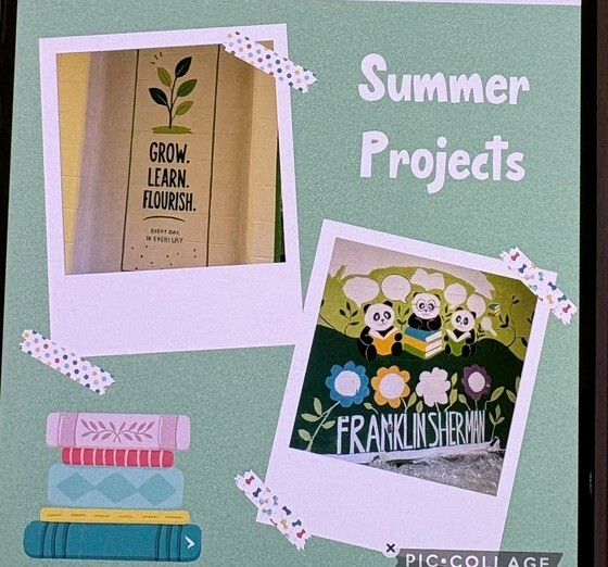 FSES summer project