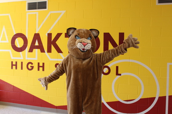 Oakton cougar in front of gold wall