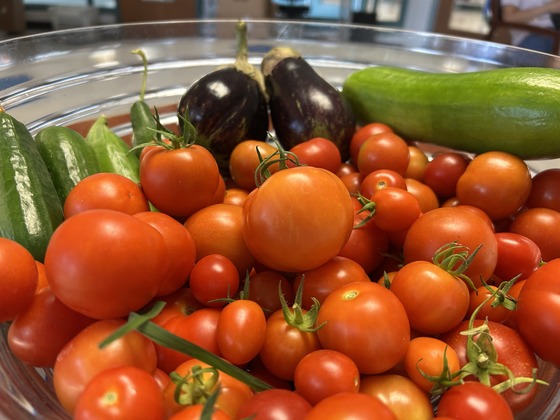 A bowl of vegetables harvested from the Irving MS garden.