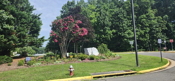 halley garden