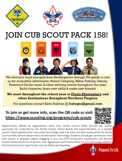 Cub Scout Flyer