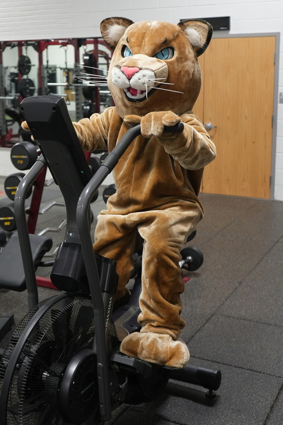 cougar mascot working out in weight room