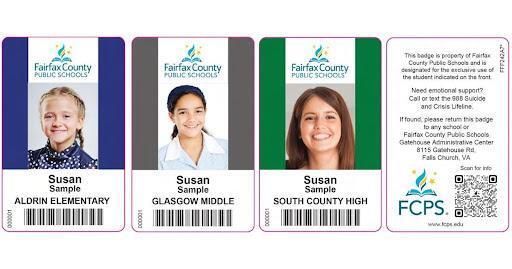 sample ID Cards