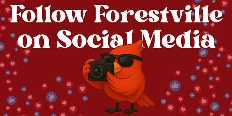 A red cartoon cardinal holding a camera with the text "Follow us on social media" in white block letters
