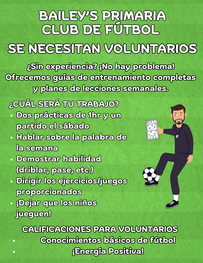 Volunteer Flyer