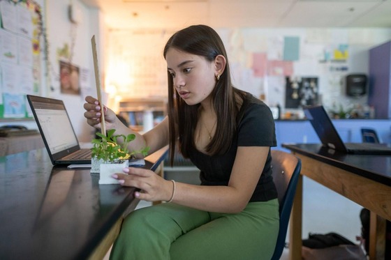 student working on their laptop