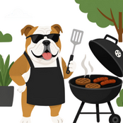 bulldog grilling