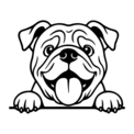 bulldog
