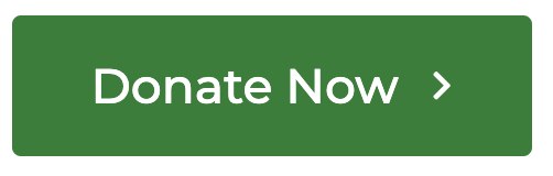 donatenow
