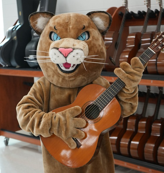 cougar playing guitar