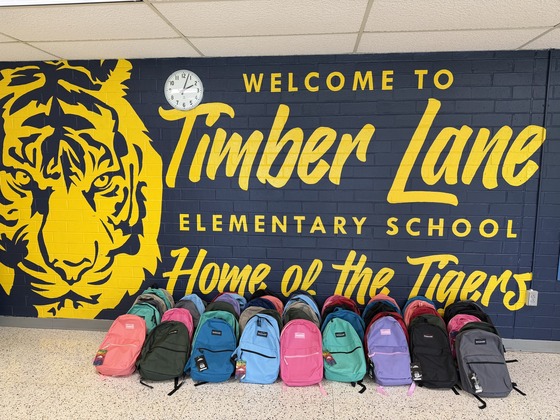 backpacks 26