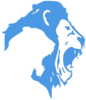 Fairfax Lions