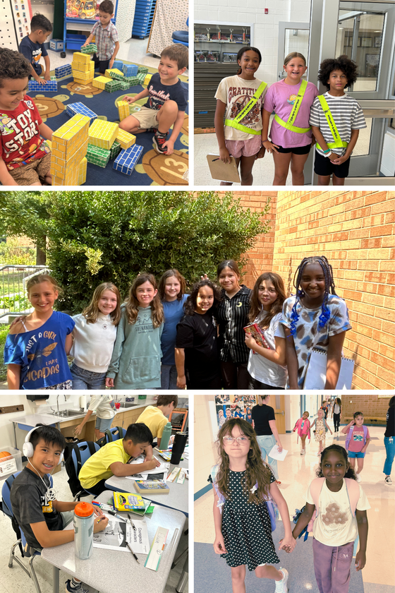 This week at C;learview