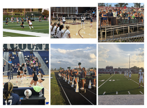 weekly picture collage
