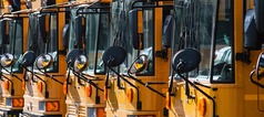 buses