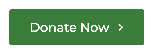 Donate Now Button