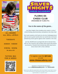 Silver Knights Chess Club Flyer
