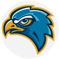 HVES Hawk logo