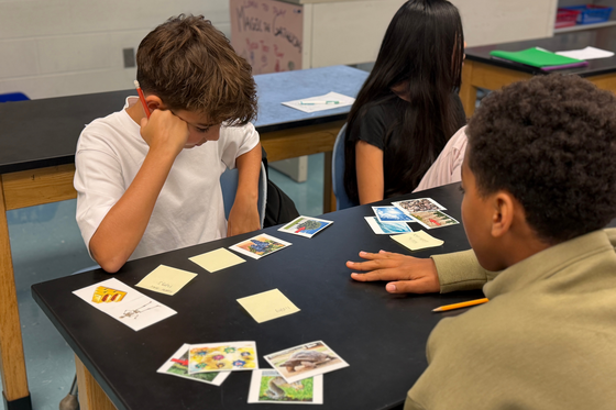 students sorting and labeling images that are living and nonliving