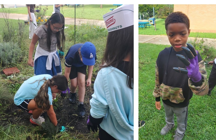 Students weeding the school garden