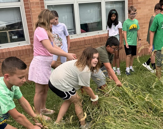 Students weeding the school garden