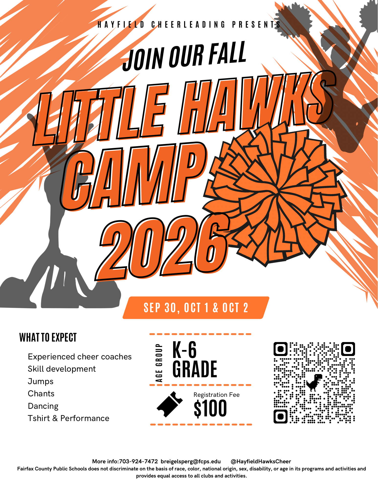 Little Hawks