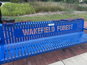 picture of a blue Wakefield Forest bench