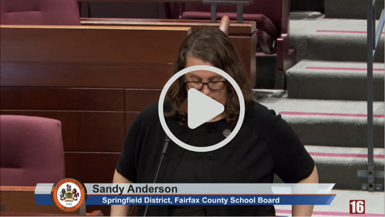 Still shot of Sandy Anderson speaking at the County Public Hearing 