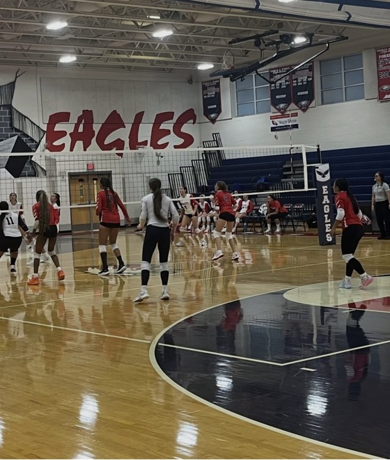 Girls playing volleyball