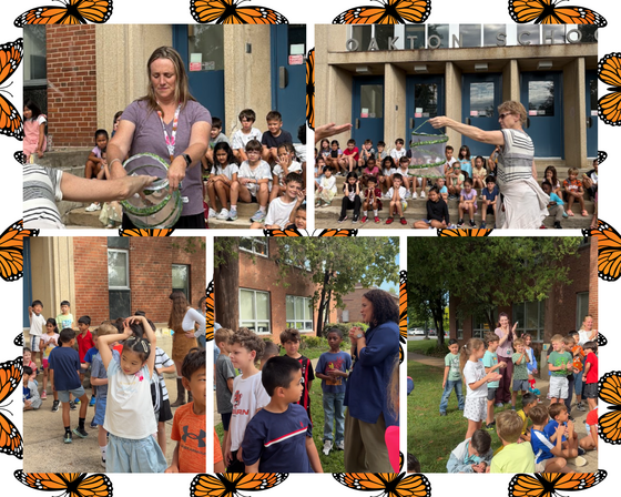 Students gather outdoors for a butterfly release at Oakton Elementary, watching as adults handle net enclosures containing monarch butterflies.
