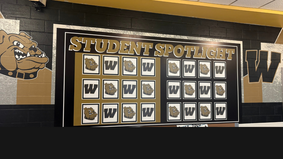 student spotlight wall