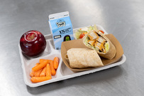 Caesar chicken wrap with fruits and vegetables