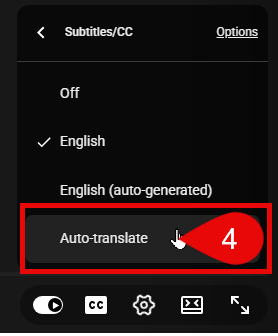 Step 4. Select Auto-translate