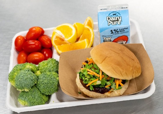 tray of healthy food