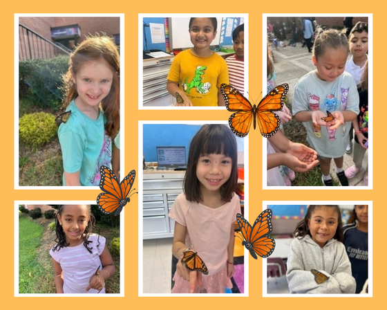 Six-panel collage of second-grade students gently holding and observing monarch butterflies on their hands, arms, and clothing in class and outdoors.
