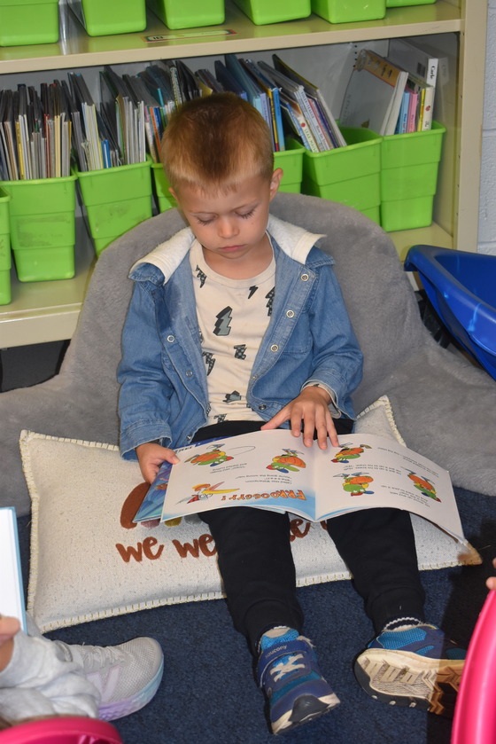 A picture of a student reading a book